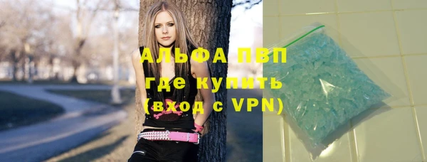 сатива Алзамай