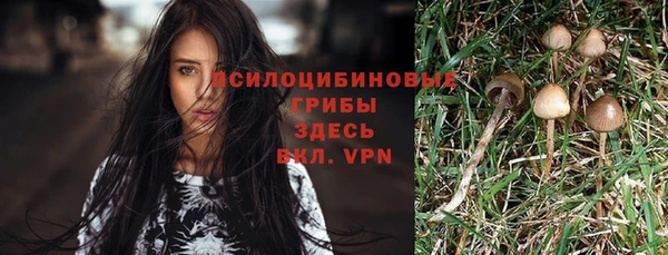 скорость Абаза