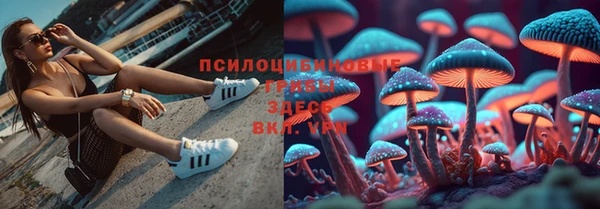 скорость Абаза
