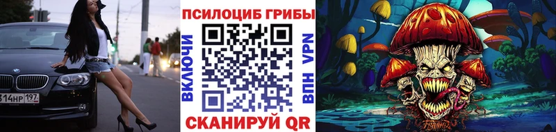 Псилоцибиновые грибы Cubensis  Шали 